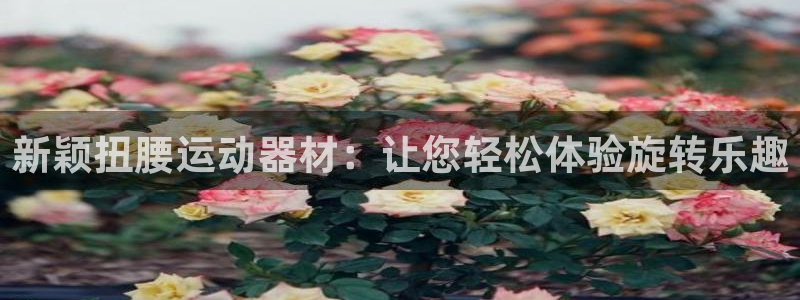 南宫大舞台官网下载联系电话:新颖扭腰运动器材:让您轻松体验旋